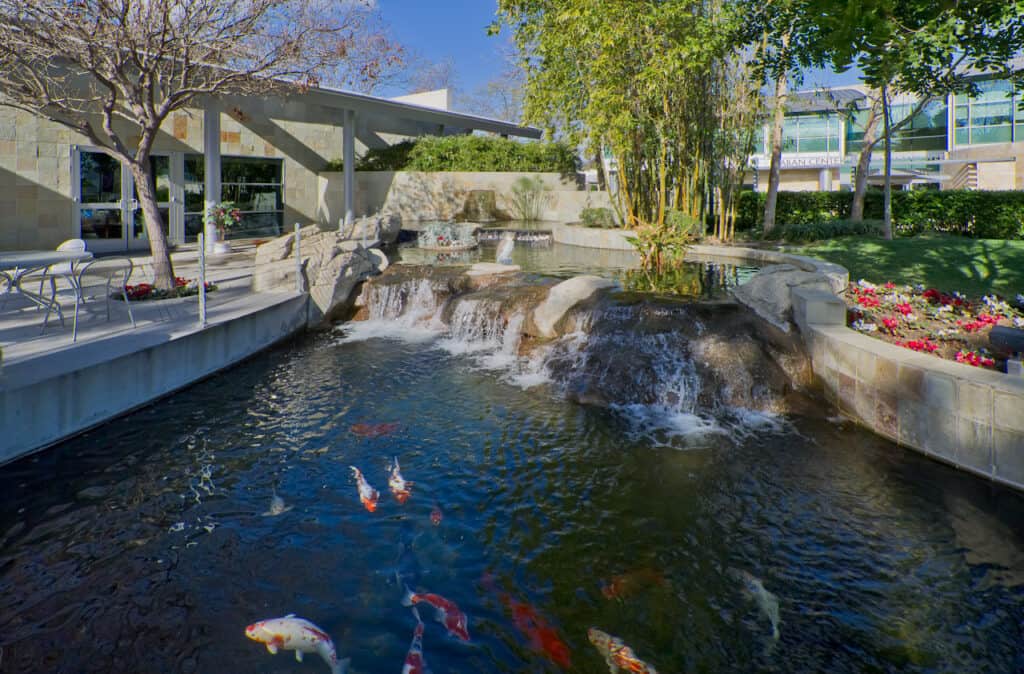 A koi pond in front of an office building.