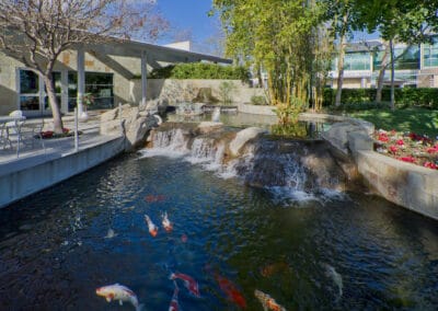 A koi pond in front of an office building.