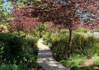 Walkway between trees and flowers