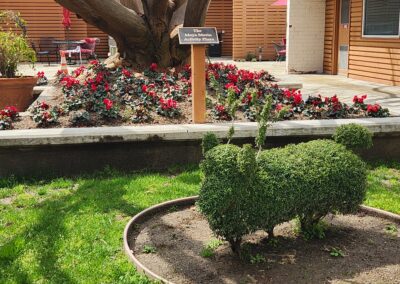 Topiary animals on MPTF campus