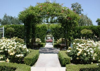 Roddy McDowall Rose Garden