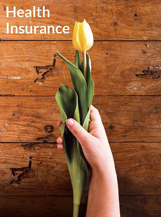 A hand holding a yellow tulip with the words health insurance.
