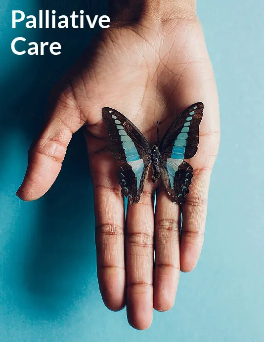 A hand holding a butterfly with the words palliative care.