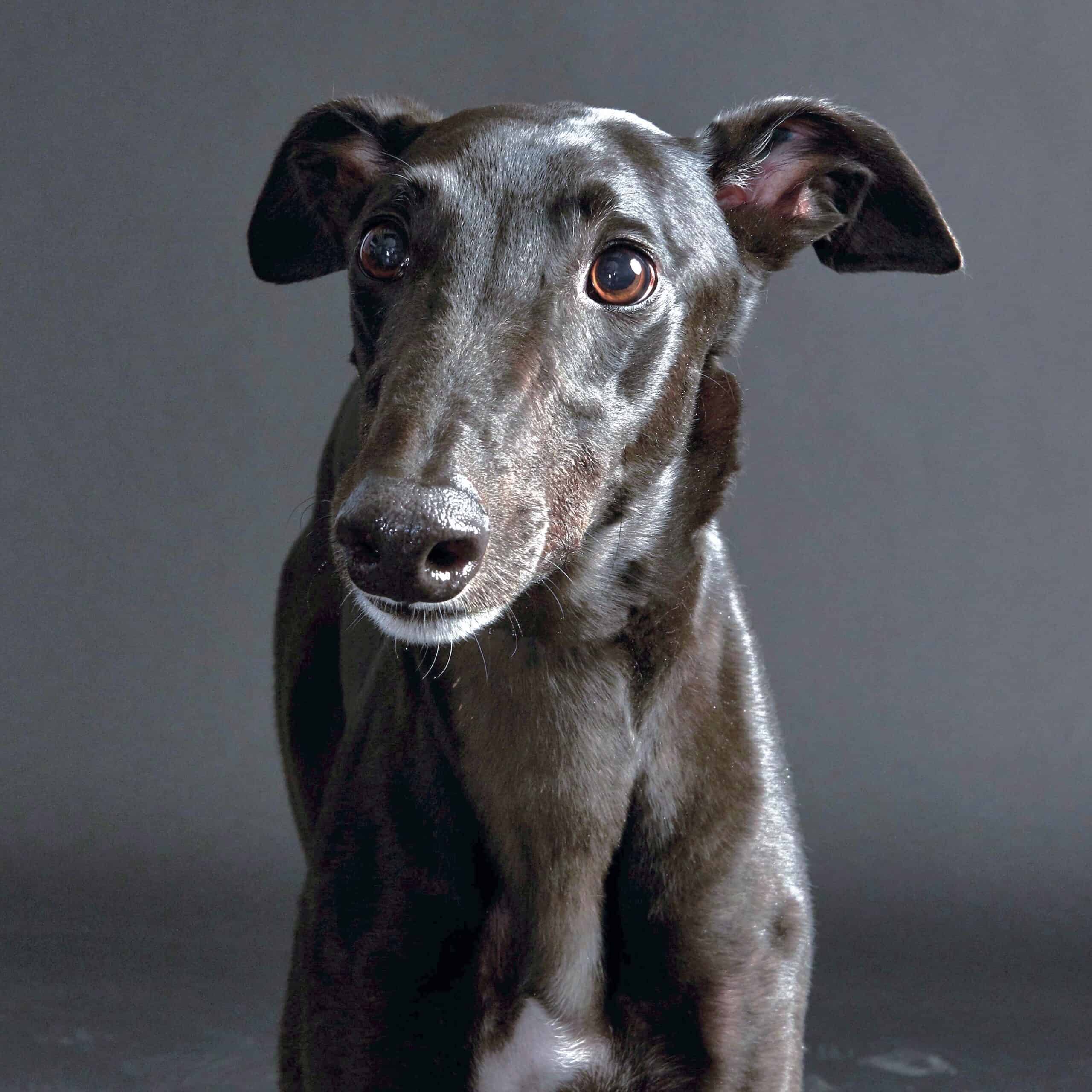 Unleashed Generosity