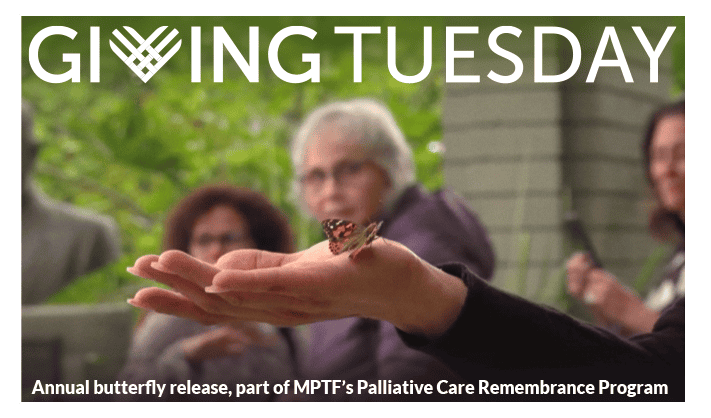 Giving Tuesday Desktop